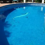 Cortijo El Majito Dağ evi *