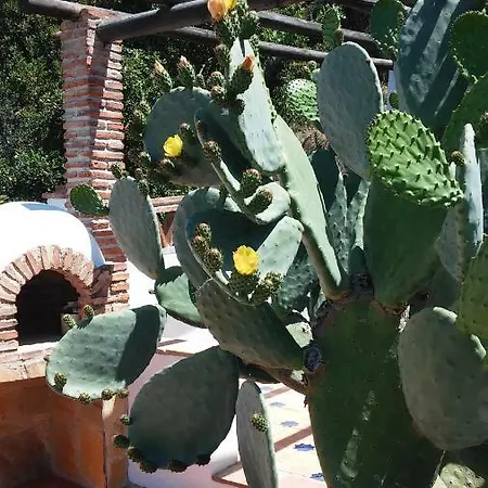 Alpehytte Cortijo El Majito *