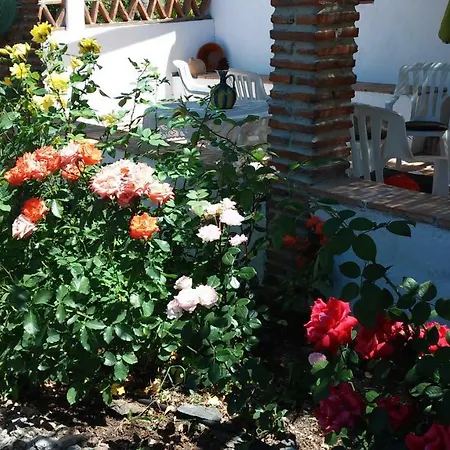 Cortijo El Majito Alpehytte